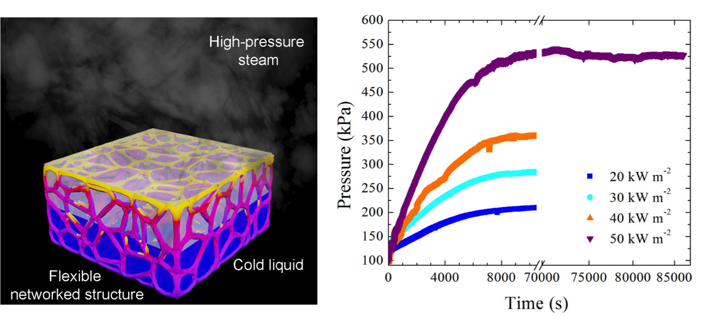 Flexible artificially networked structure for ambient/high pressure solar steam generation