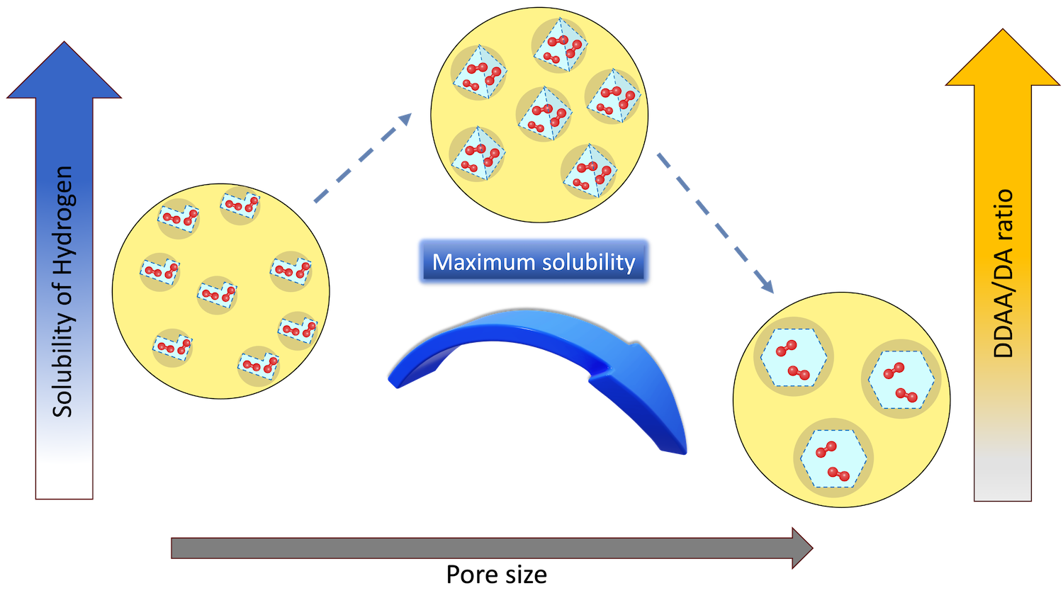 “Hydrogen Solubility in Confined Water