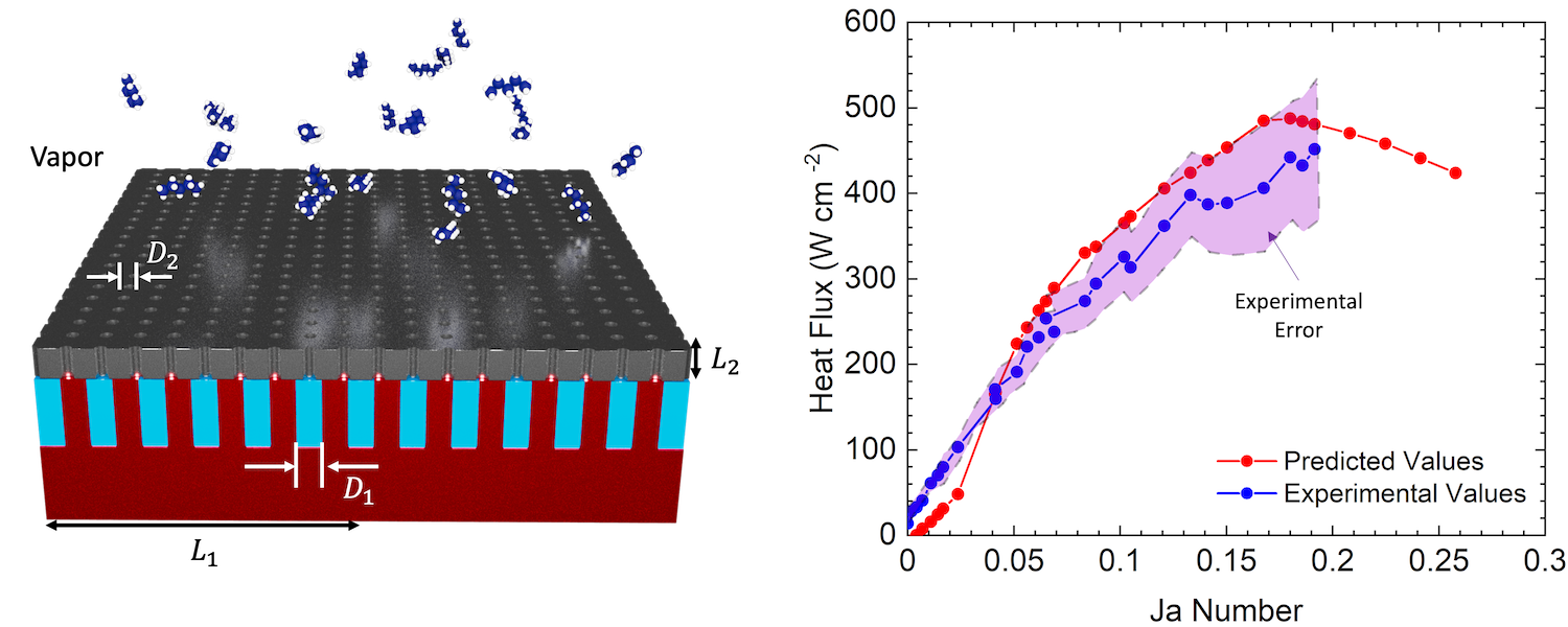 “Physics-informed neural network for thin-film evaporation in hierarchical structures