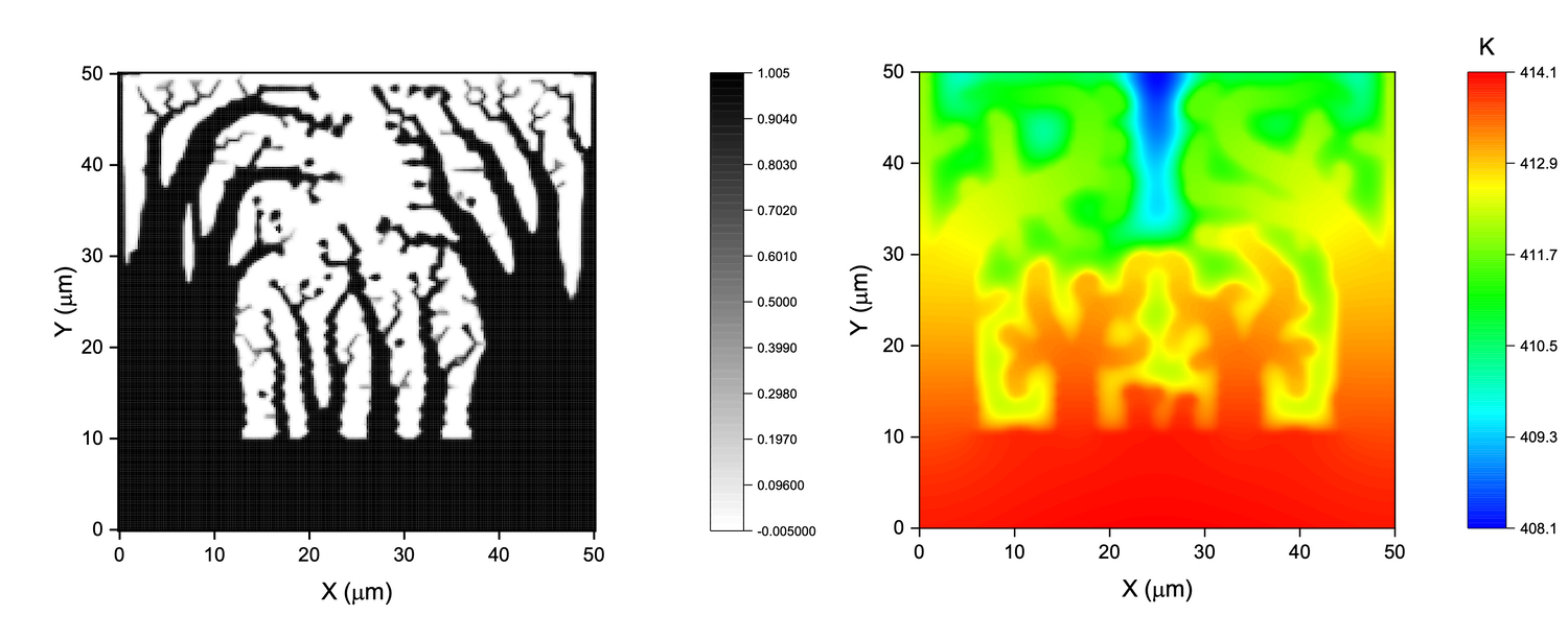 “Physics-informed neural network based topology optimization for thin-film evaporation in hierarchical structures